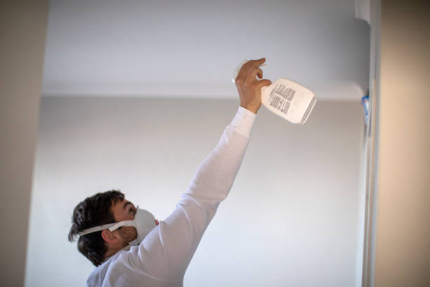Best Mold Remediation  in Weston, WV