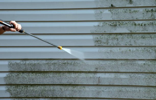 Best Certified Mold Removal  in Weston, WV